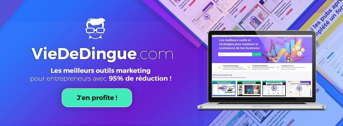 viededingue-com-avis