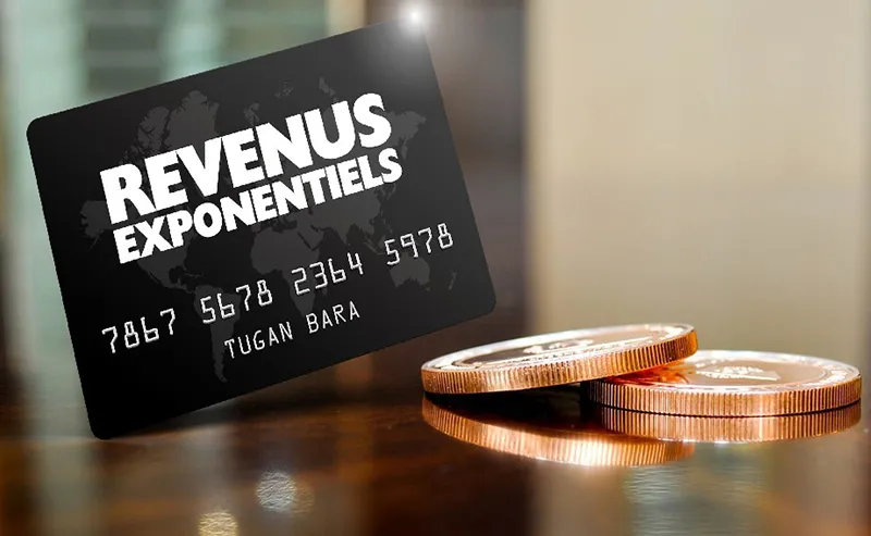revenus exponentiels tugan bara avis