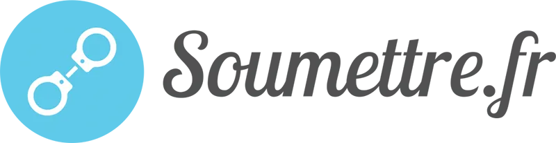 soumettre meilleure plateforme netlinking avis