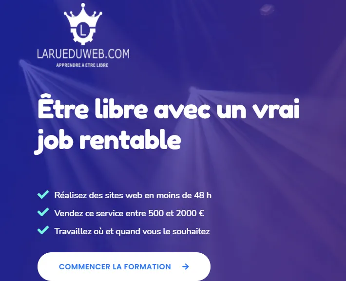 larueduweb meilleure formation wordpress
