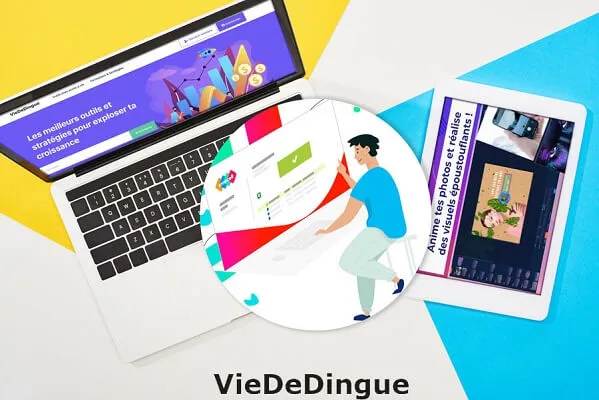 VieDeDingue.com-c-est-quoi