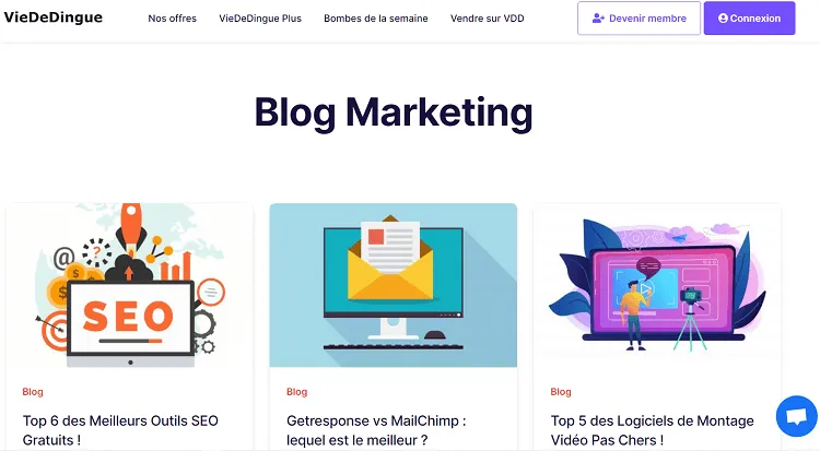 blog-marketing-Vie-de-dingue.com