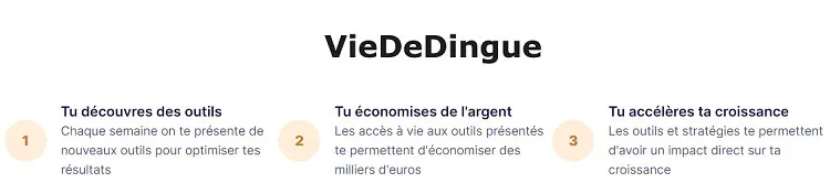 plateforme-VieDeDingue-comment-ca-marche