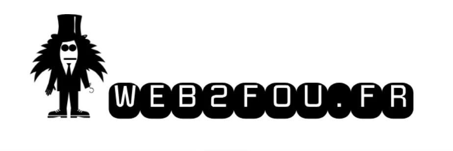formations web2fou avis