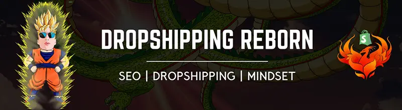 Dropshipping reborn cheap